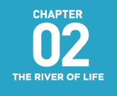 Chapter 2: The River of Life